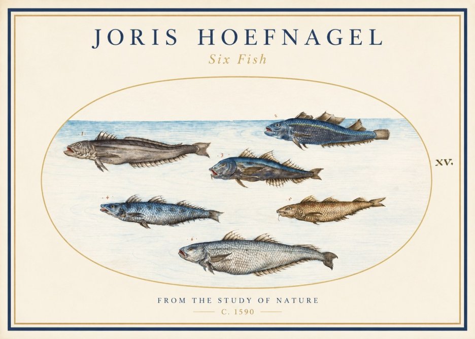 Joris Hoefnagel Six Fish No1 - Affiche