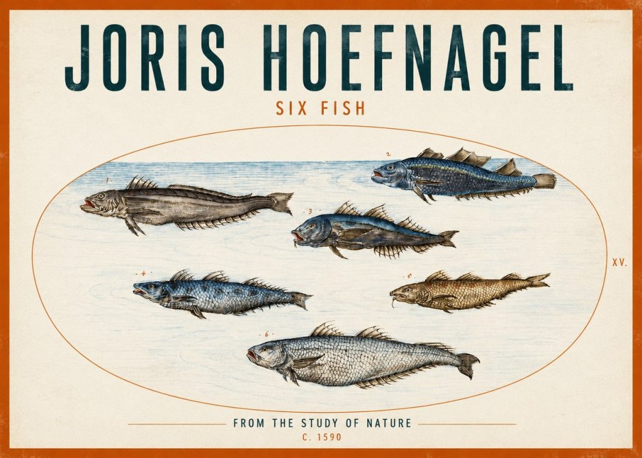 Joris Hoefnagel Six Fish No2 - Affiche