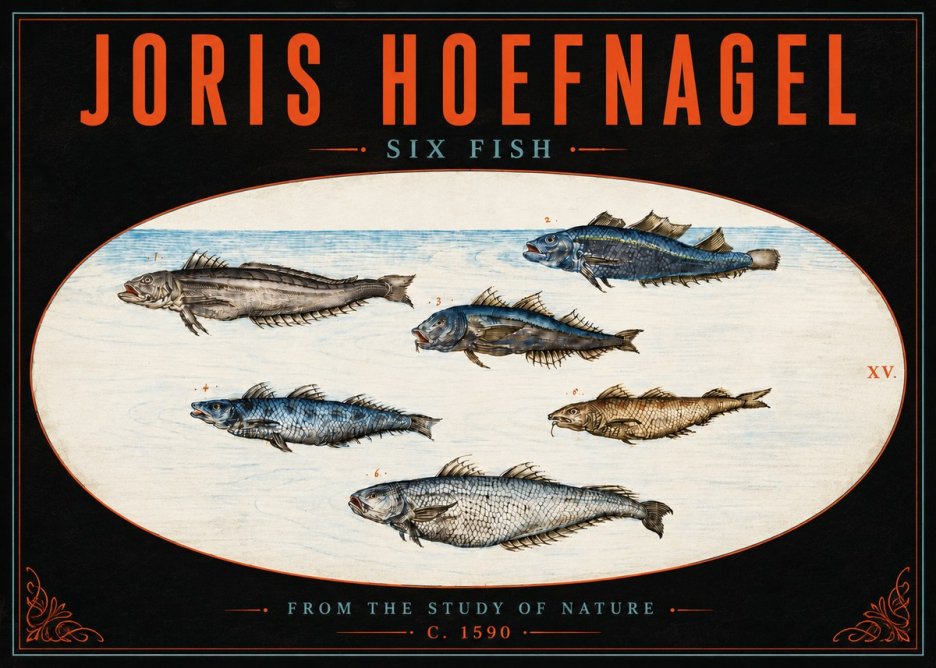 Joris Hoefnagel Six Fish No5 - Affiche