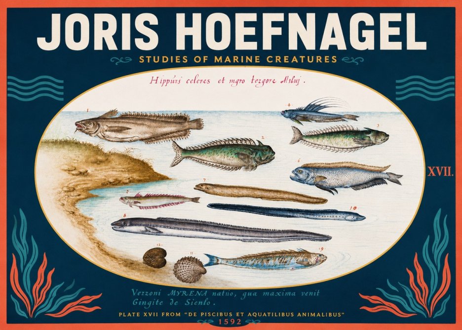 Joris Hoefnagel Plate Xvii from "De Piscibus Et Aquatilibus Animalibus" No2 - Affiche
