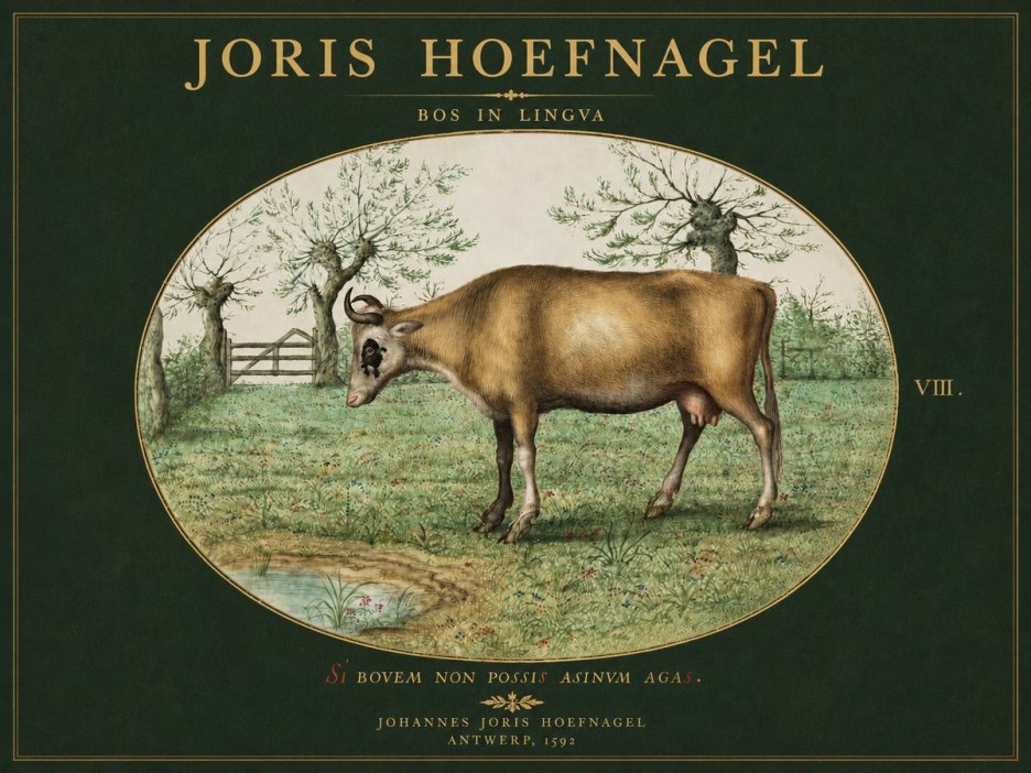 Joris Hoefnagel Bos in Lingva No3 - Affiche