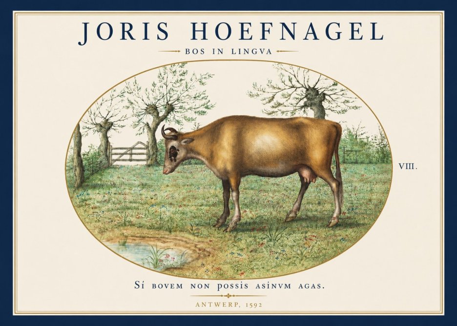 Joris Hoefnagel Bos in Lingva No4 - Affiche