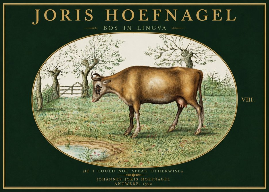 Joris Hoefnagel Bos in Lingva No5 - Affiche