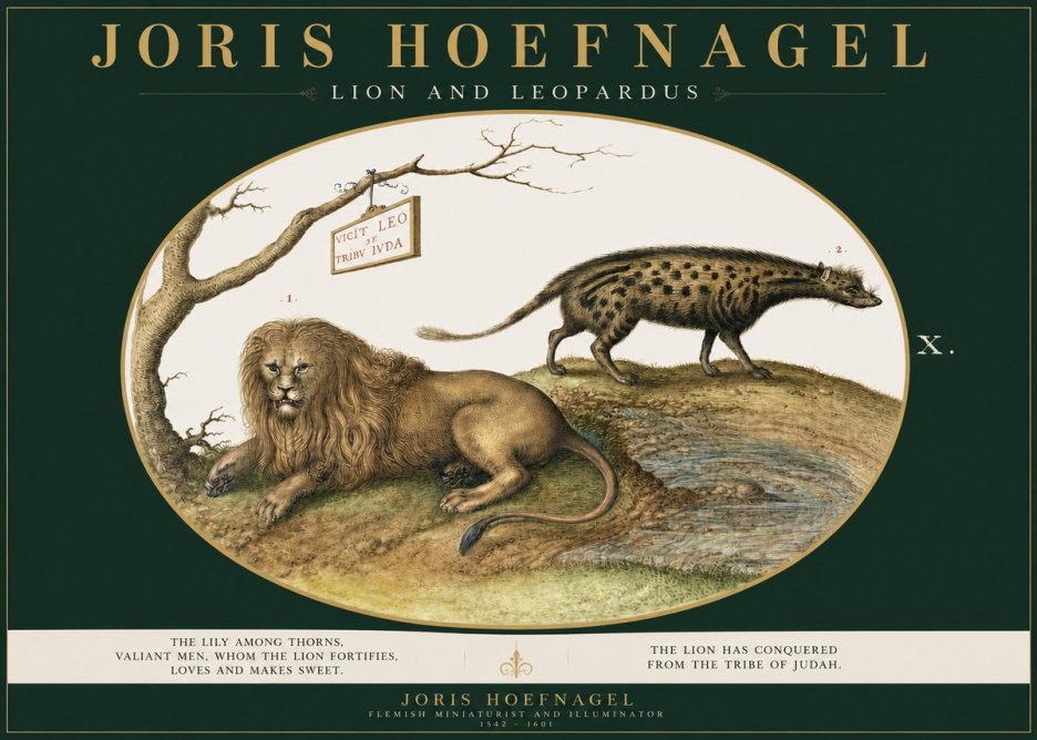 Joris Hoefnagel Lion and Spotted Hyena No3 - Affiche