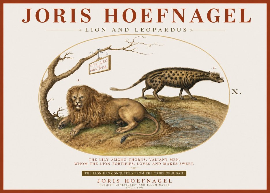 Joris Hoefnagel Lion and Spotted Hyena No4 - Affiche