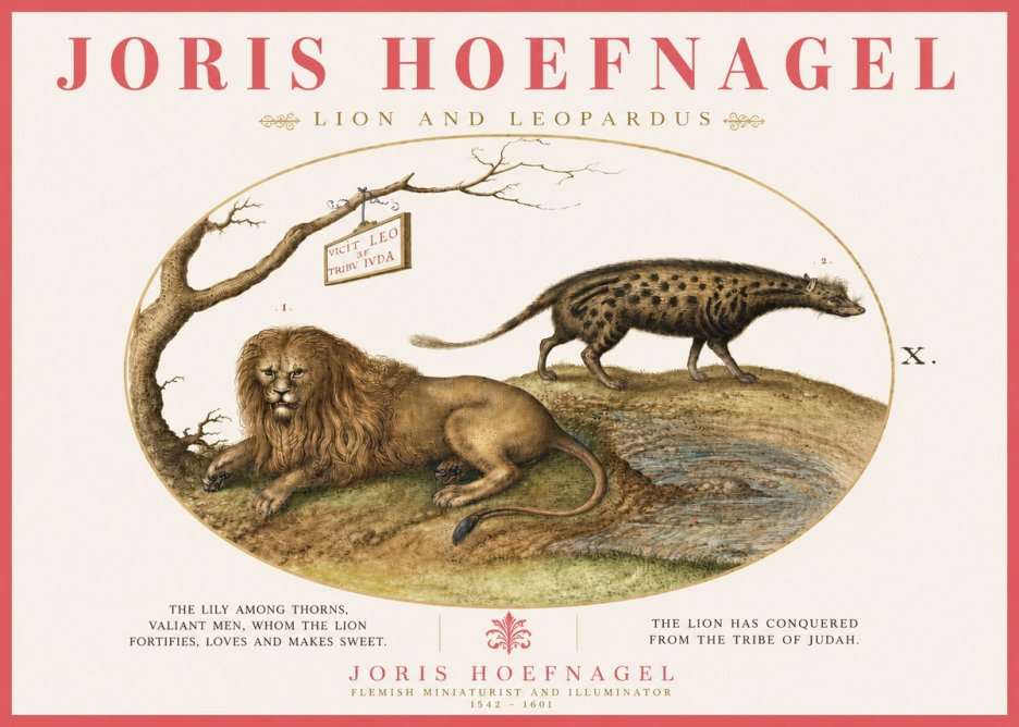 Joris Hoefnagel Lion and Spotted Hyena No6 - Affiche