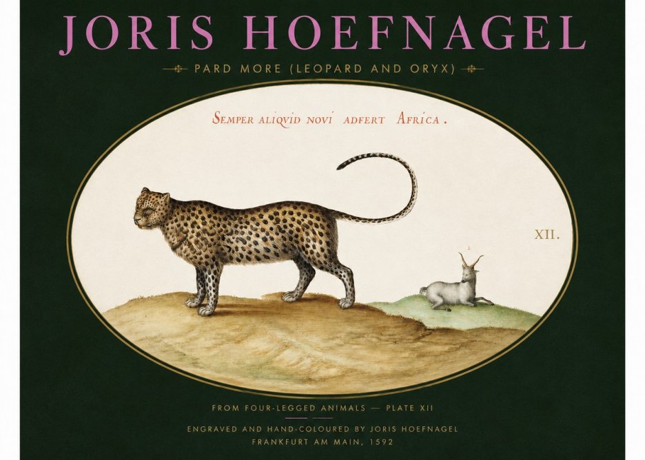 Joris Hoefnagel Pard More (Leopard and Oryx) No2 - Affiche