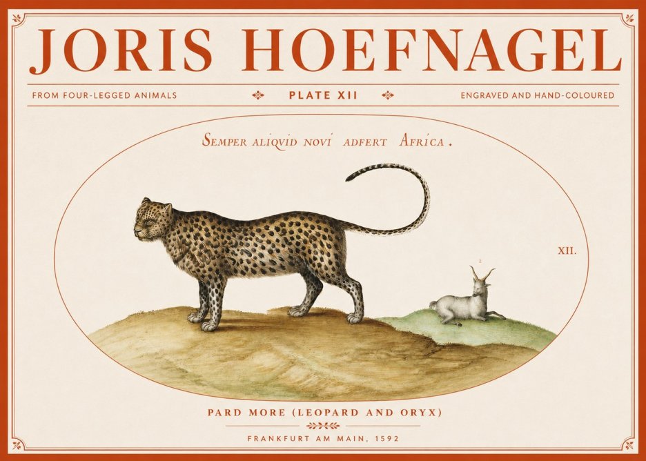 Joris Hoefnagel Pard More (Leopard and Oryx) No3 - Affiche