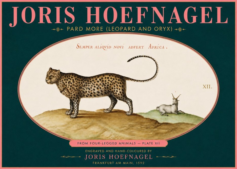 Joris Hoefnagel Pard More (Leopard and Oryx) No5 - Affiche