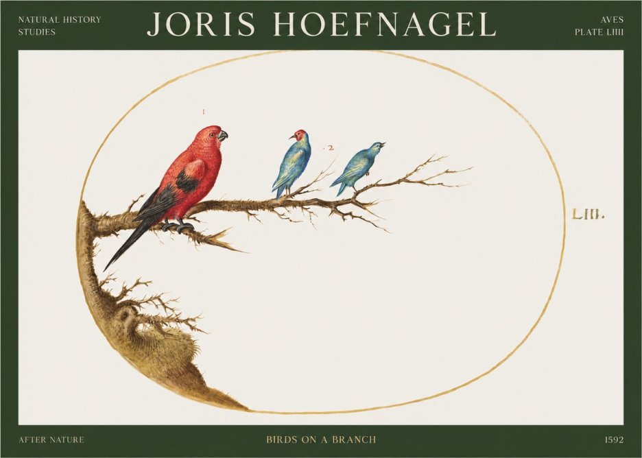 Joris Hoefnagel Birds on a Branch No1 - Affiche