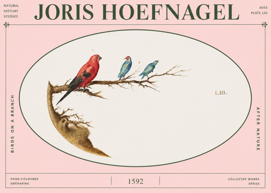 Joris Hoefnagel Birds on a Branch No4 - Affiche