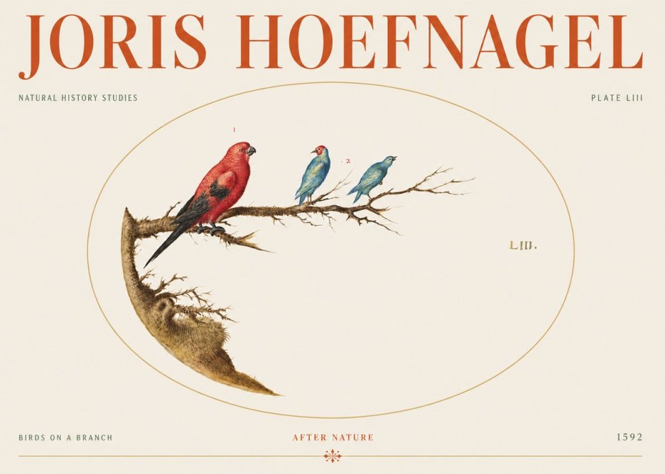 Joris Hoefnagel Birds on a Branch No5 - Affiche