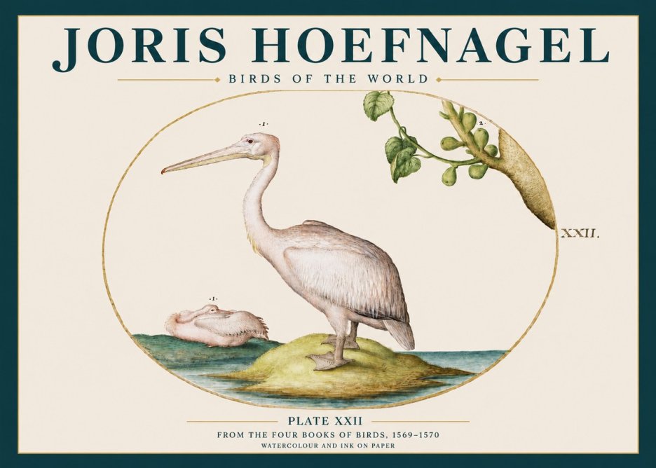 Joris Hoefnagel Plate Xxii No3 - Affiche