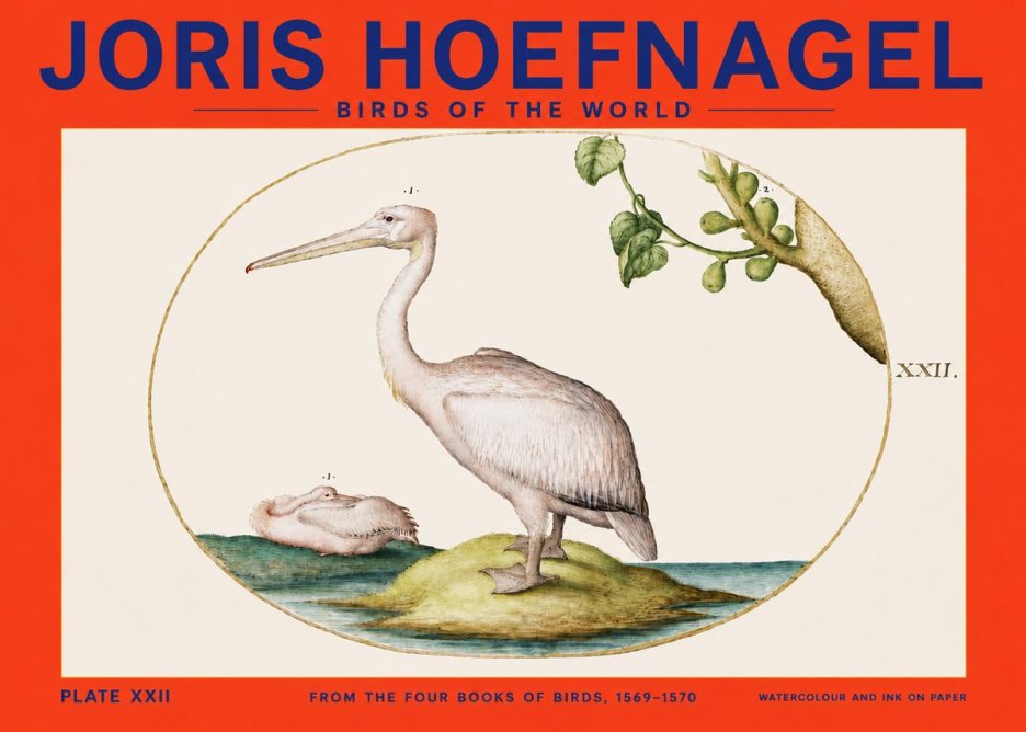 Joris Hoefnagel Plate Xxii No4 - Affiche