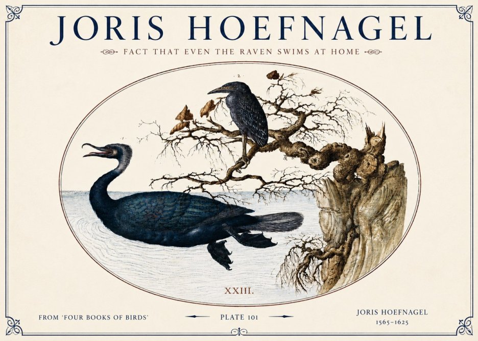 Joris Hoefnagel Fact That Even the Raven Swims at Home No4 - Affiche