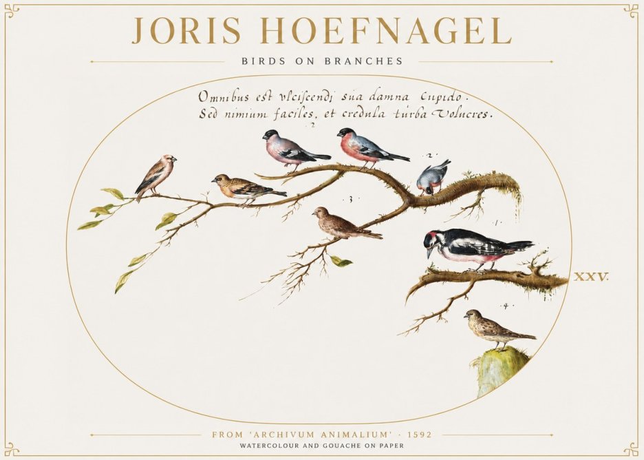 Joris Hoefnagel Birds on Branches No1 - Affiche