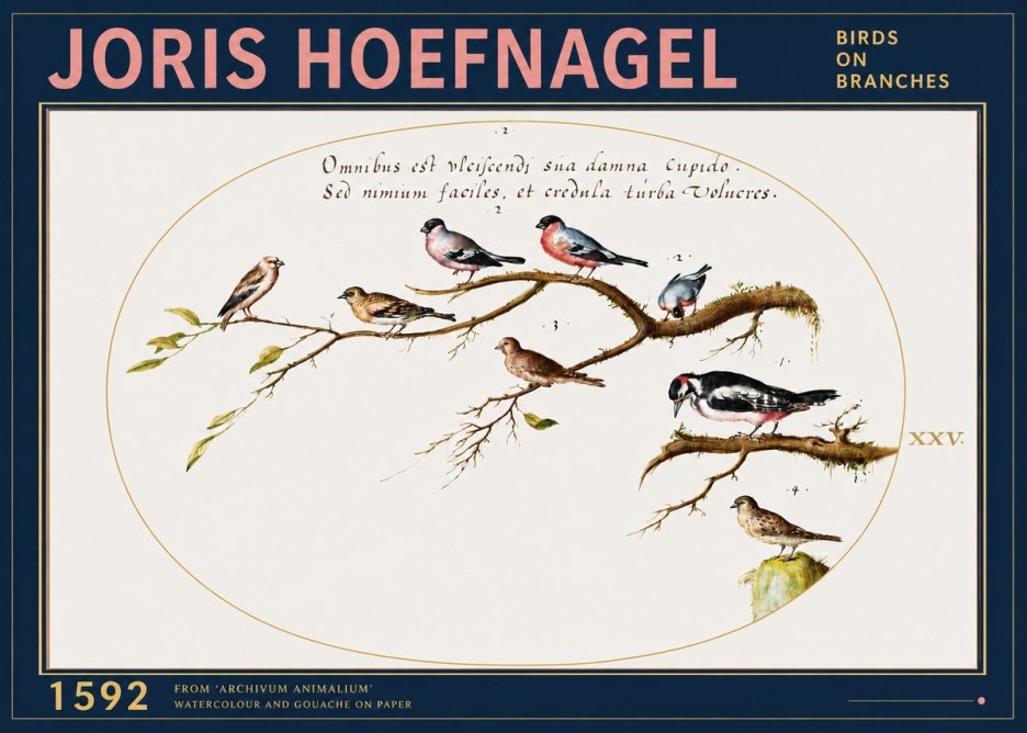 Joris Hoefnagel Birds on Branches No3 - Affiche