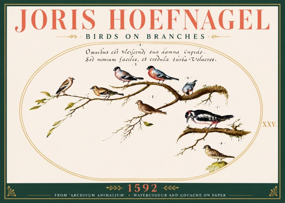 Joris Hoefnagel Birds on Branches No6 - Affiche