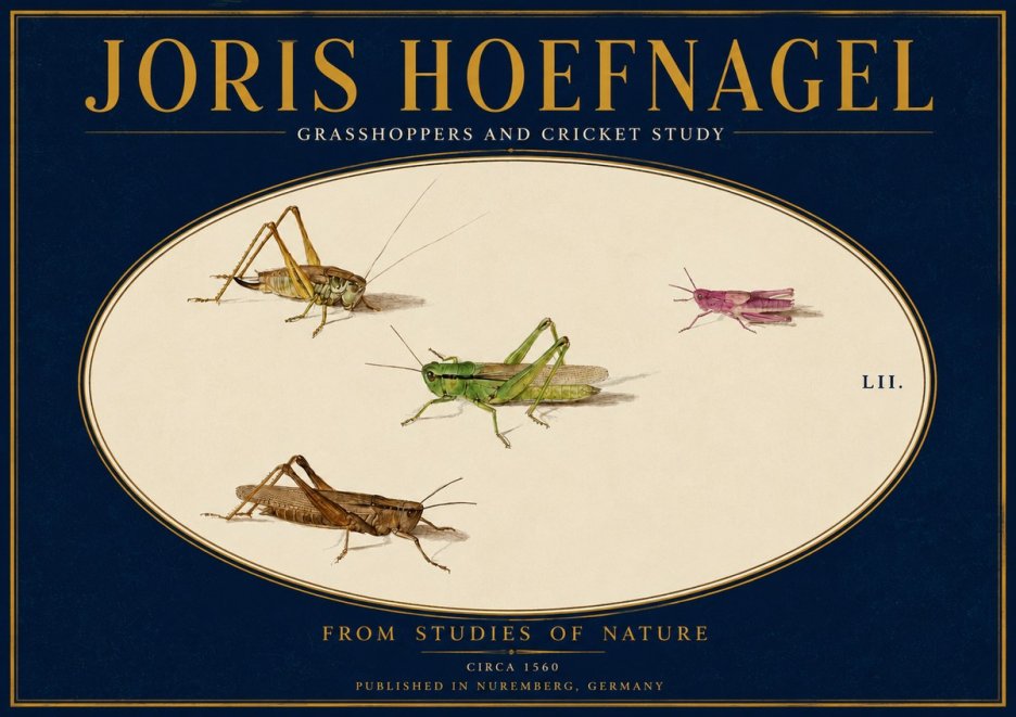 Joris Hoefnagel Three Grasshoppers and a Locust No4 - Affiche