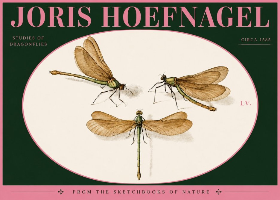 Joris Hoefnagel Studies of Dragonflies No4 - Affiche