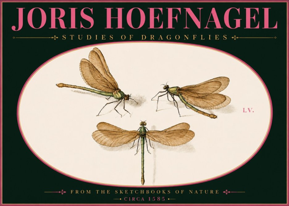 Joris Hoefnagel Studies of Dragonflies No6 - Affiche