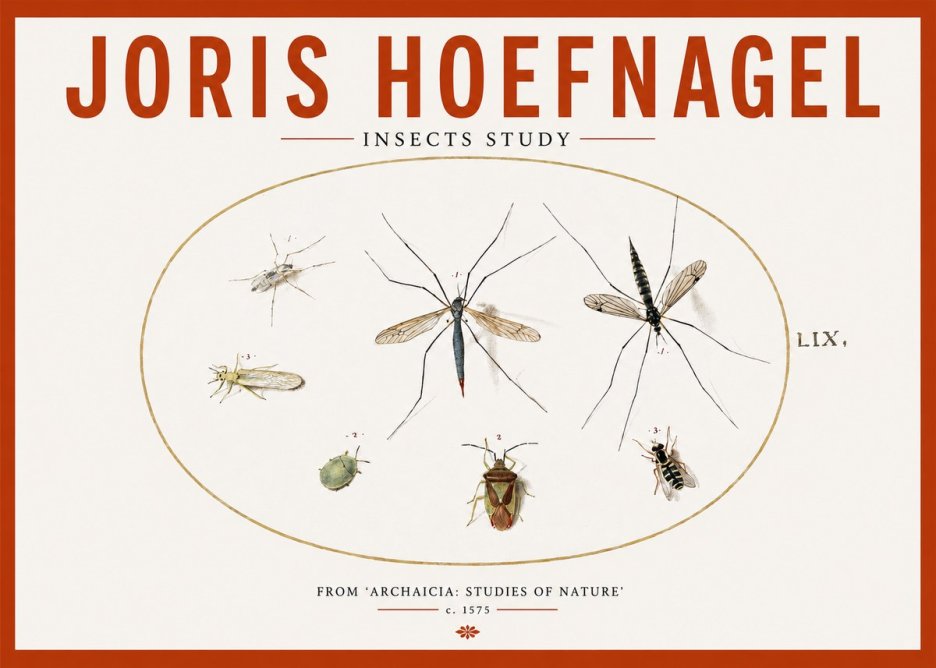 Joris Hoefnagel Insects Study I No2 - Affiche