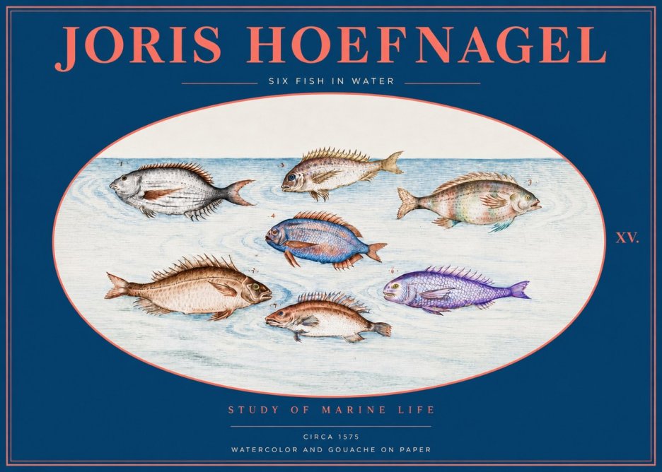 Joris Hoefnagel Six Fish in Water No2 - Affiche