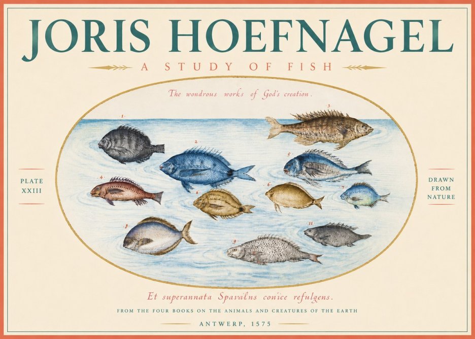 Joris Hoefnagel A Study of Fish No3 - Affiche