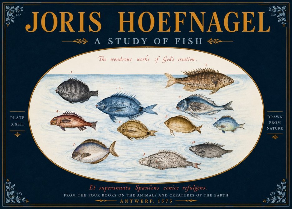 Joris Hoefnagel A Study of Fish No5 - Affiche