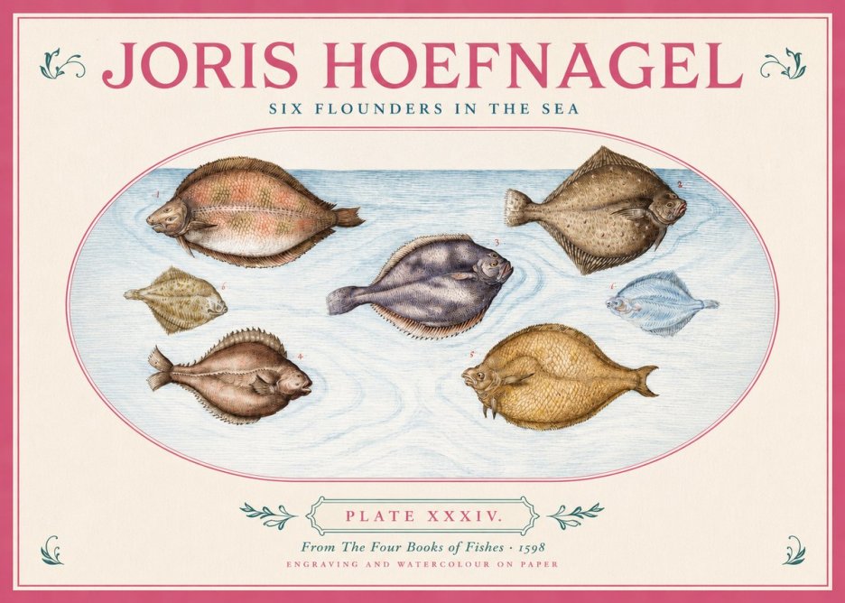Joris Hoefnagel Six Flounders in the Sea No2 - Affiche