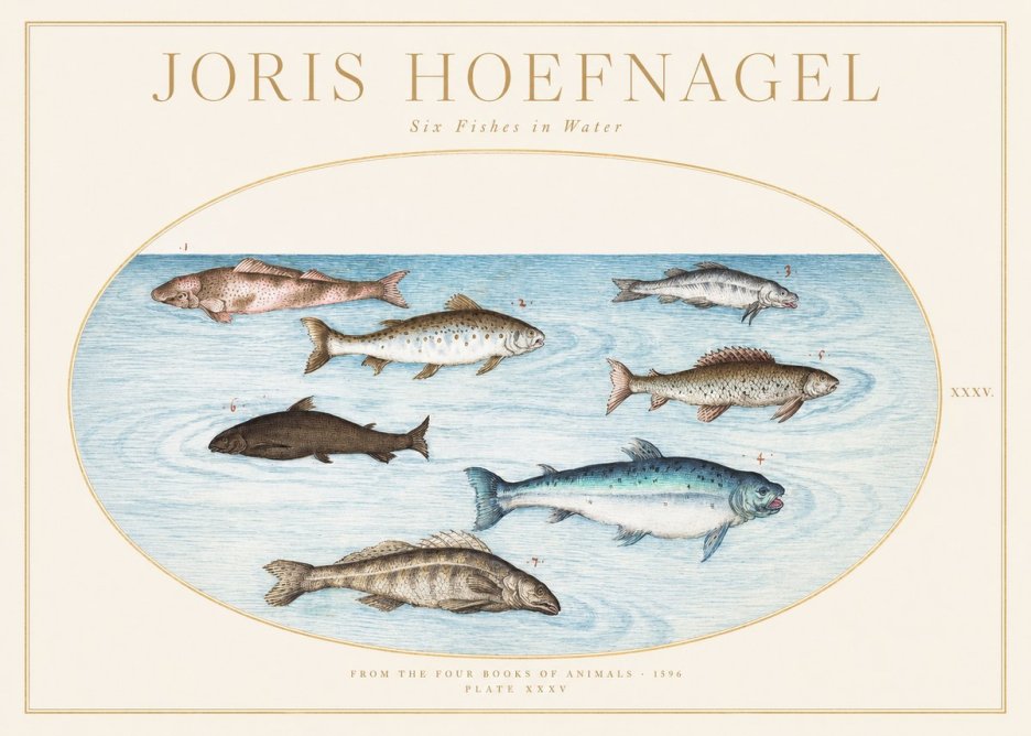 Joris Hoefnagel Six Fishes in Water I No1 - Affiche