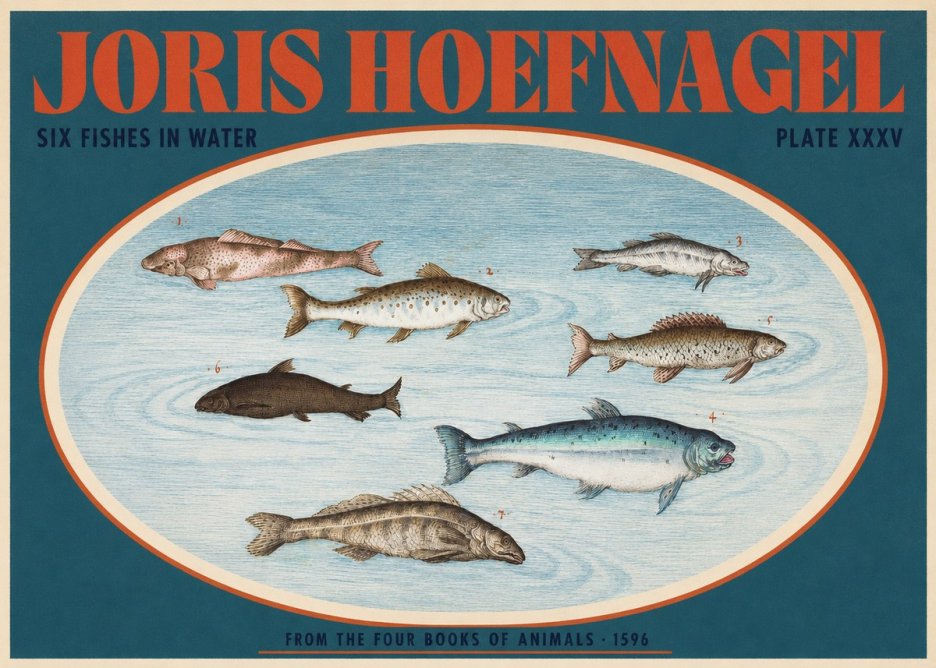 Joris Hoefnagel Six Fishes in Water I No2 - Affiche
