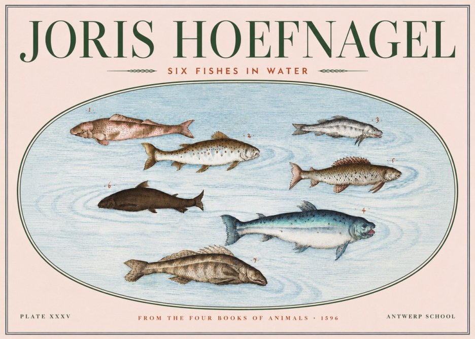 Joris Hoefnagel Six Fishes in Water I No3 - Affiche