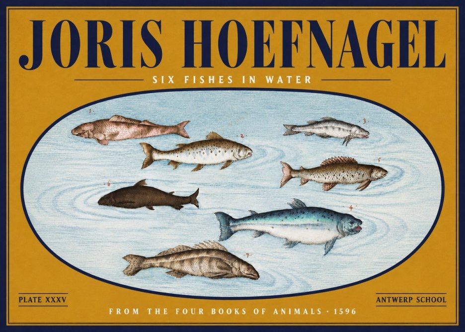 Joris Hoefnagel Six Fishes in Water I No4 - Affiche