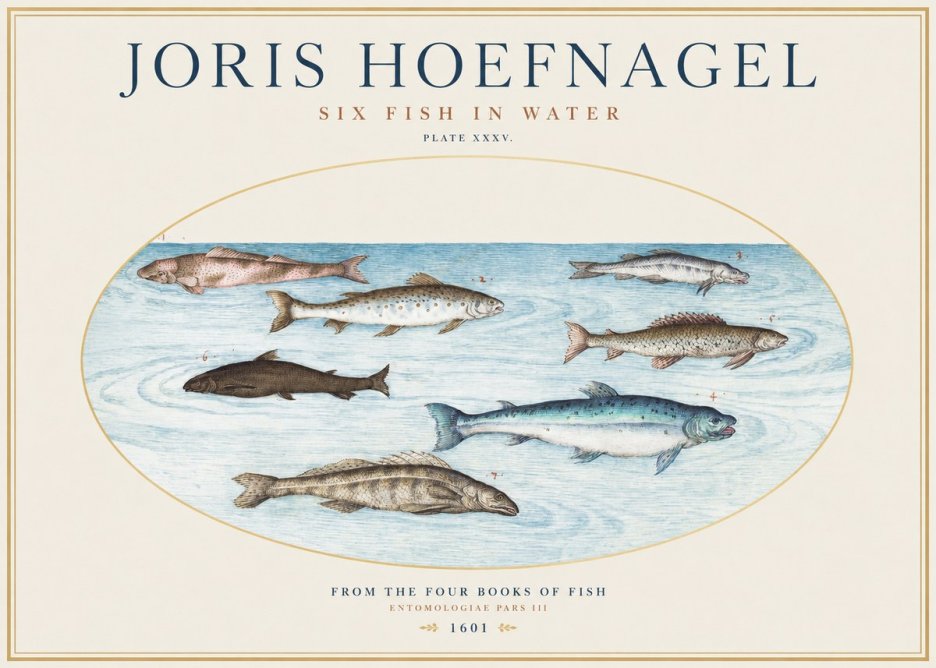 Joris Hoefnagel Six Fishes in Water I No5 - Affiche