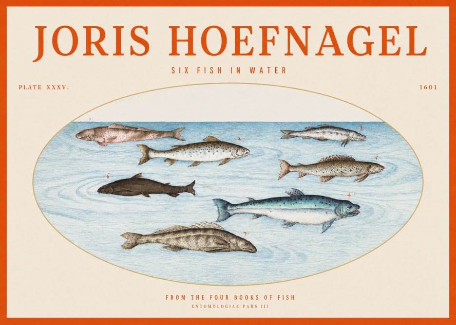 Joris Hoefnagel Six Fishes in Water I No6 - Affiche