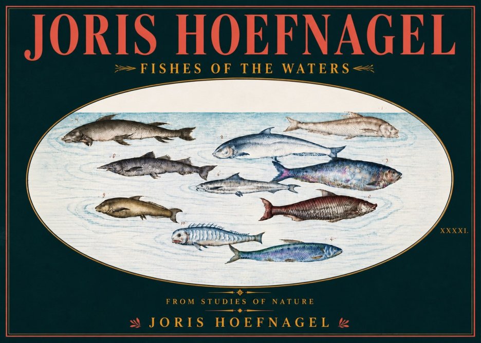 Joris Hoefnagel Fishes of the Waters II No6 - Affiche
