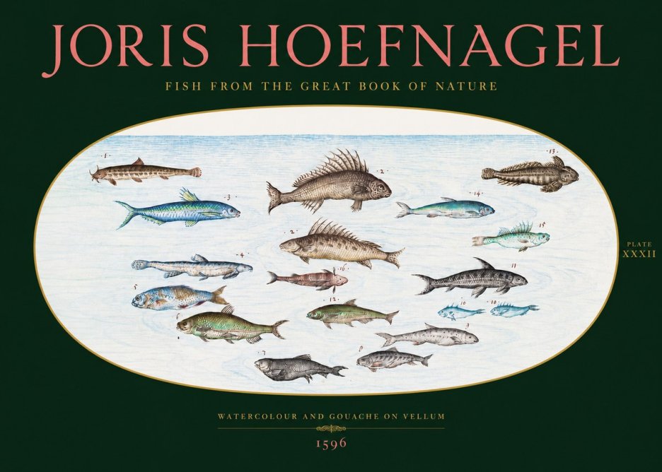 Joris Hoefnagel Fish from the Great Book of Nature No2 - Affiche
