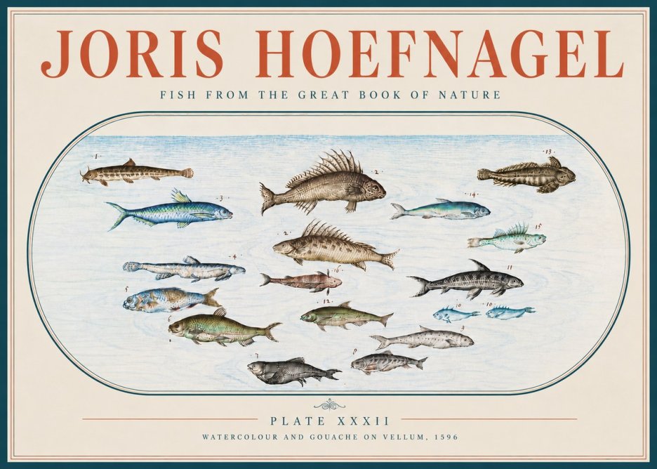 Joris Hoefnagel Fish from the Great Book of Nature No4 - Affiche