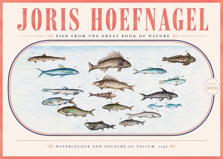 Joris Hoefnagel Fish from the Great Book of Nature No5 - Affiche