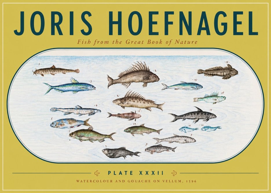 Joris Hoefnagel Fish from the Great Book of Nature No6 - Affiche