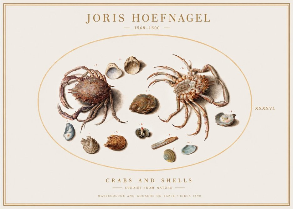 Joris Hoefnagel Crabs and Shells - Studies from Nature No1 - Affiche