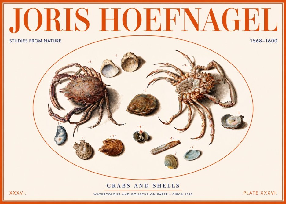 Joris Hoefnagel Crabs and Shells - Studies from Nature No2 - Affiche