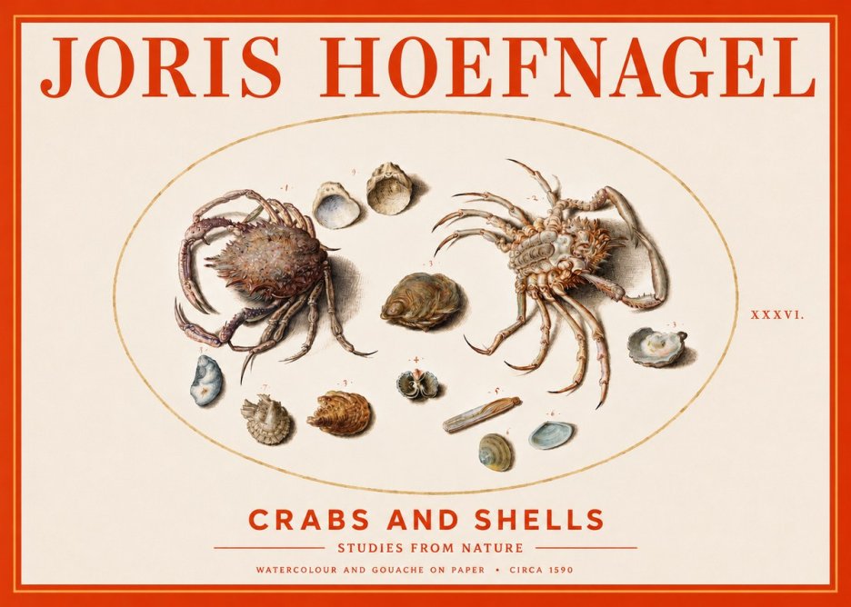 Joris Hoefnagel Crabs and Shells - Studies from Nature No3 - Affiche