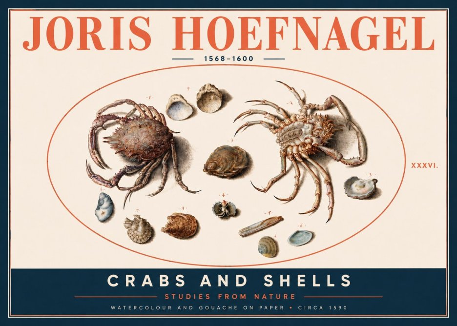 Joris Hoefnagel Crabs and Shells - Studies from Nature No4 - Affiche