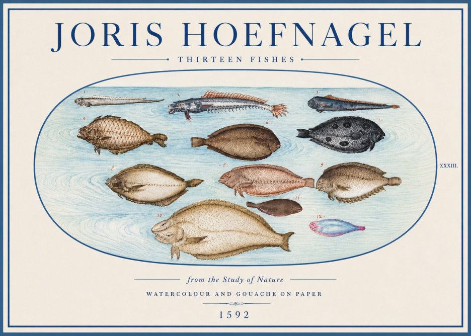 Joris Hoefnagel Thirteen Fishes from the Study of Nature No4 - Affiche
