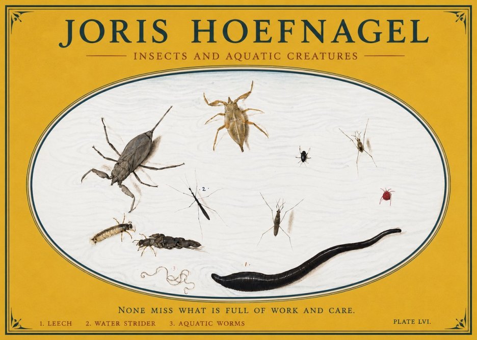 Joris Hoefnagel Insects and Aquatic Creatures No3 - Affiche