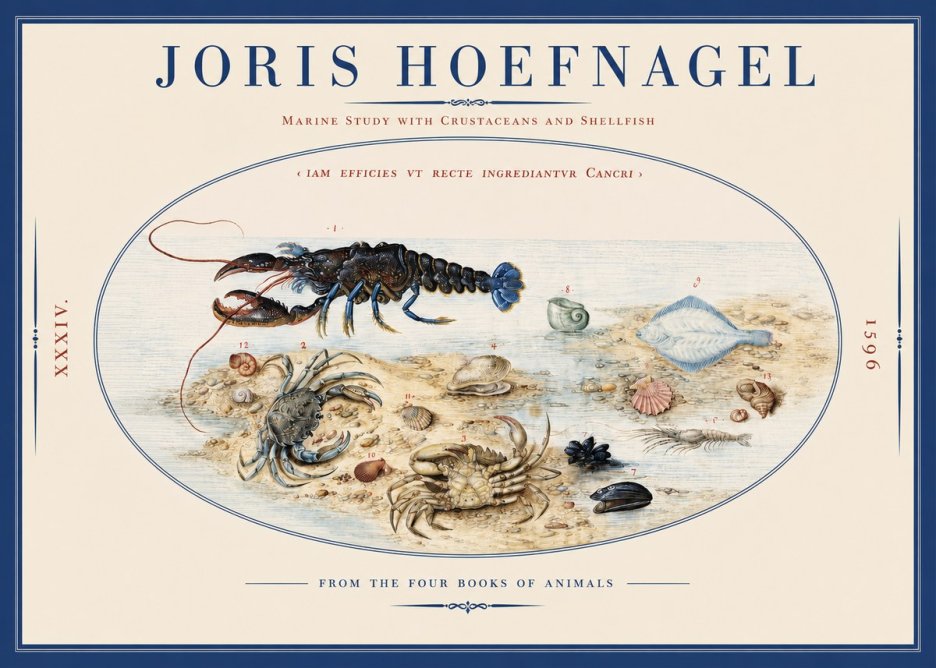 Joris Hoefnagel Marine Study with Crustaceans and Shellfish No2 - Affiche