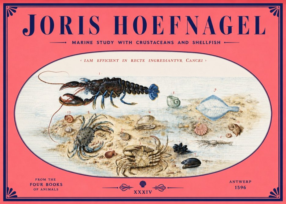 Joris Hoefnagel Marine Study with Crustaceans and Shellfish No4 - Affiche