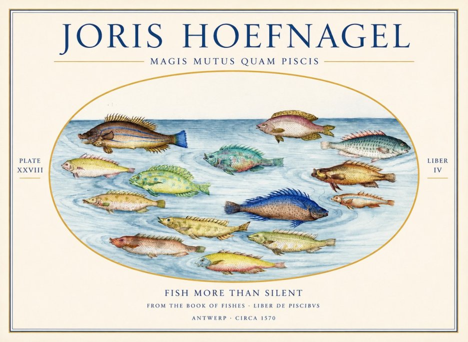 Joris Hoefnagel Fish More Than Silent No1 - Affiche